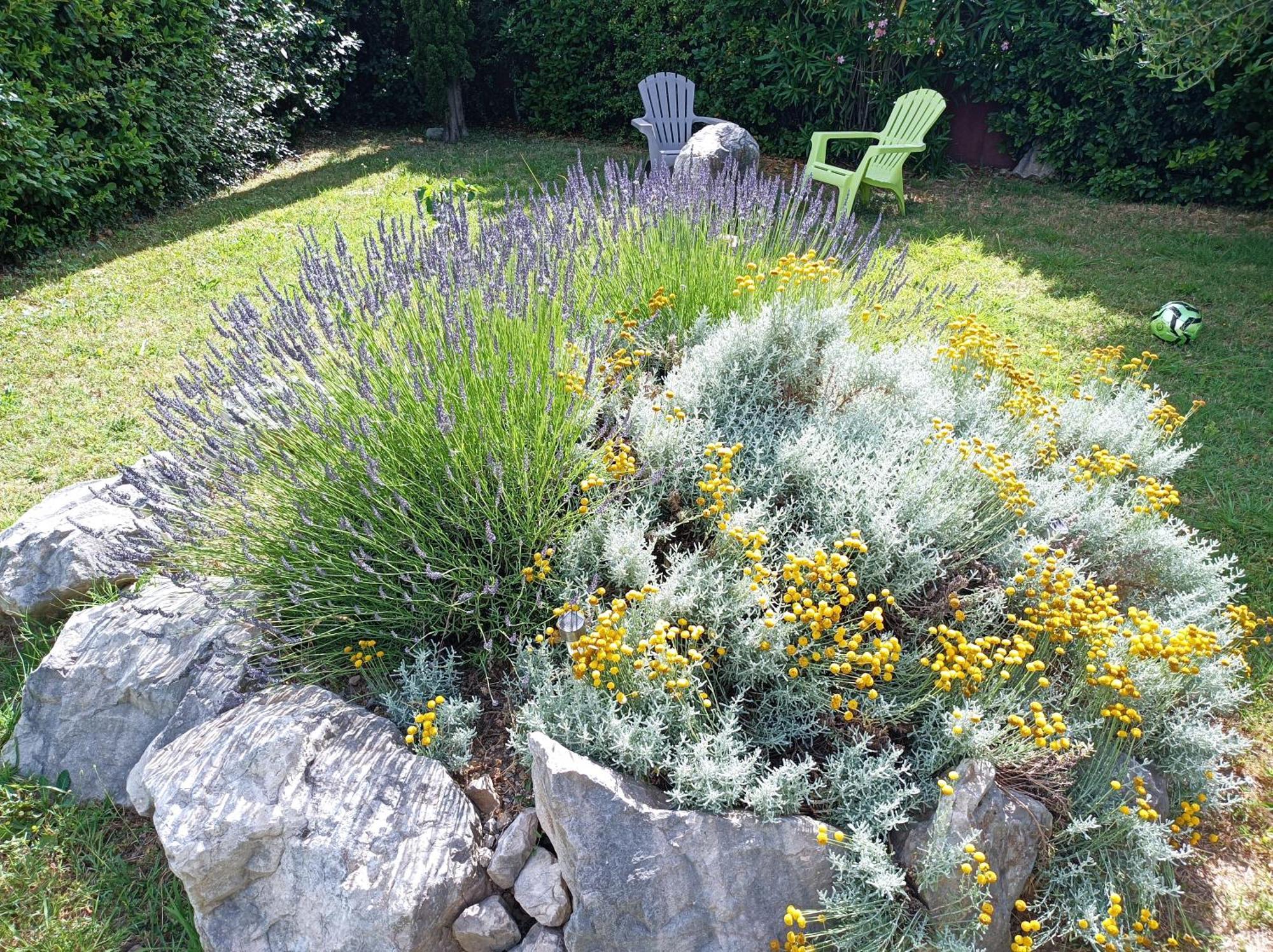 Anduze Gite Les Pins Au "Petit Clos Des Cigales" Massillargues-Attuech Exterior foto